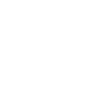 PlayAce