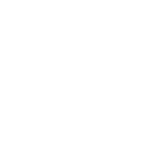 TOP Player